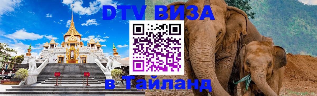 Сколько стоит DTV виза — актуальные цены, оформление даже без документов - 